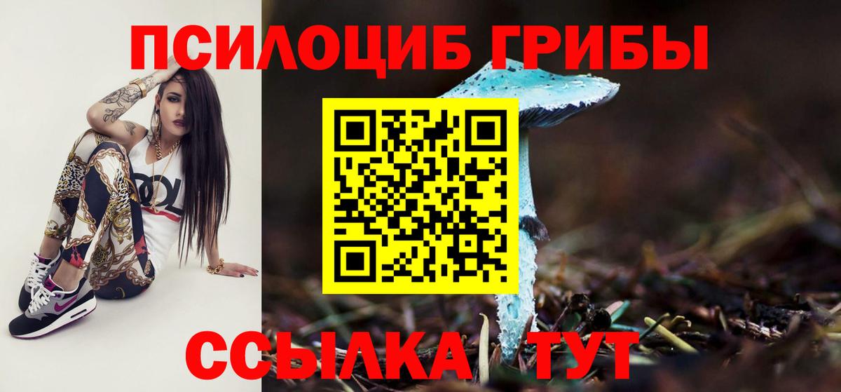 Псилоцибиновые грибы мицелий Гай